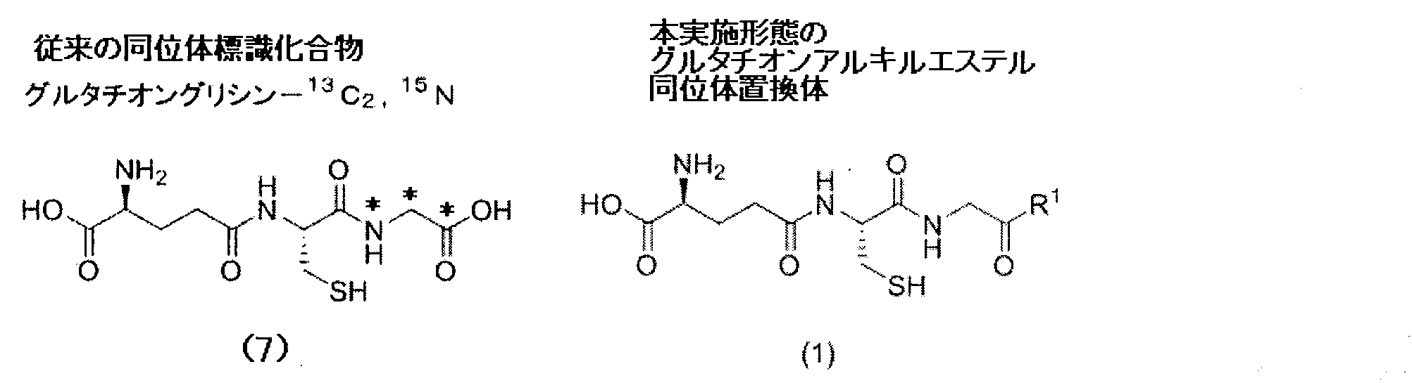 Figure JPOXMLDOC01-appb-C000010