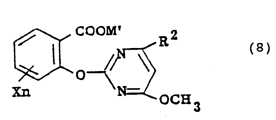 Figure imgb0113