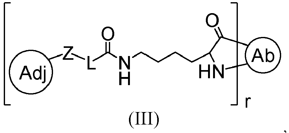 Figure imgb0248