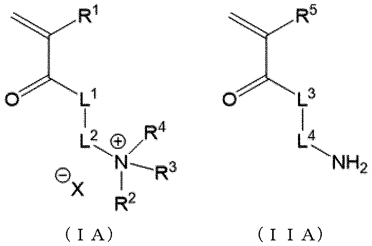 Figure JPOXMLDOC01-appb-C000006