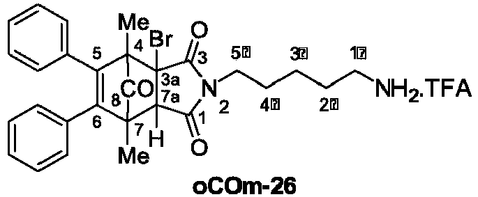 Figure imgb0171