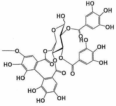 Figure JPOXMLDOC01-appb-C000005