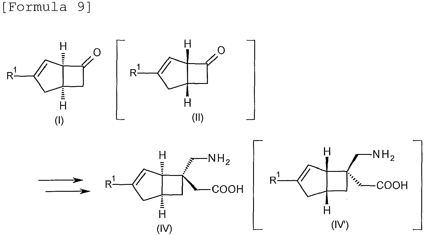 Figure imgb0013