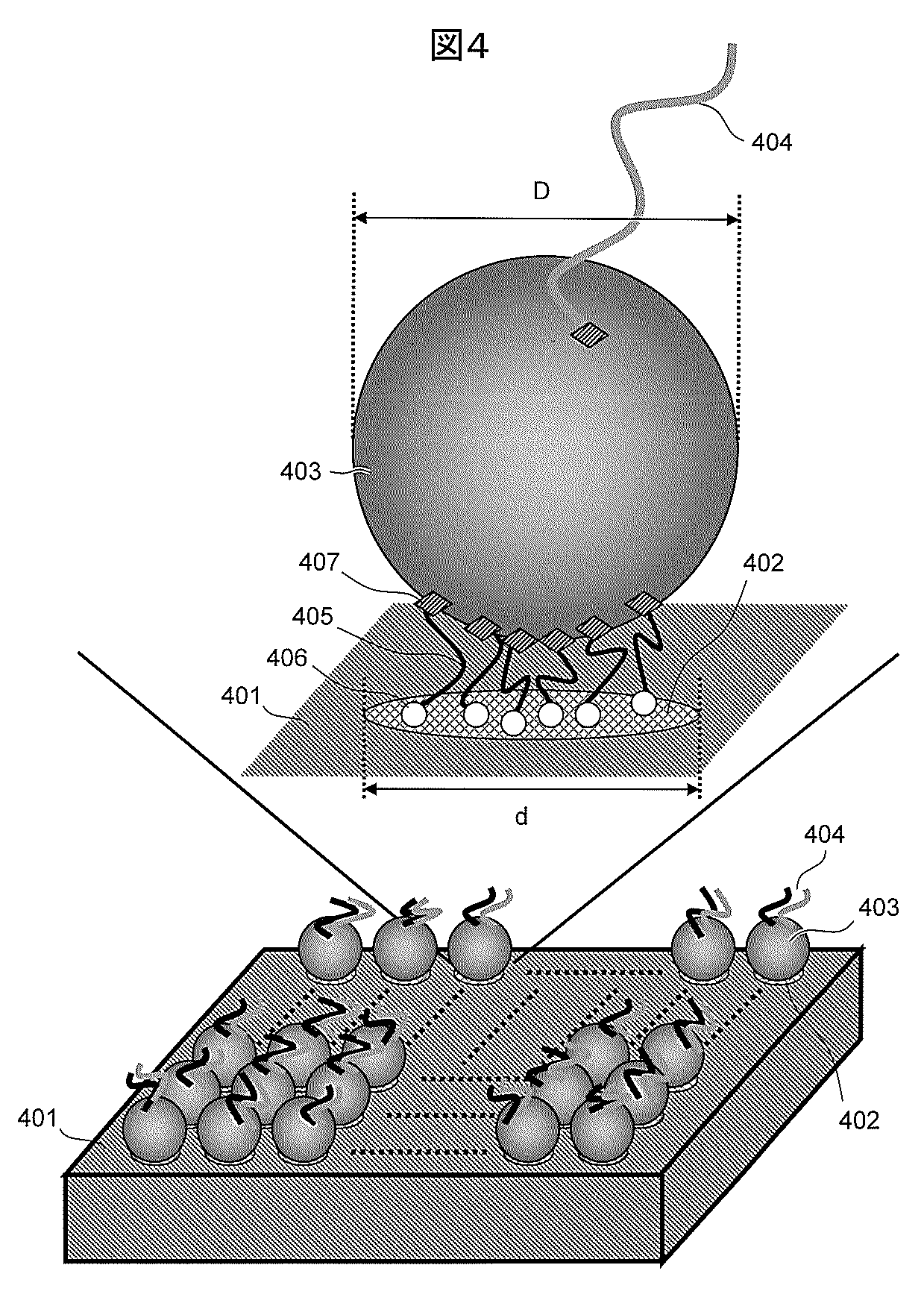 wo2013051651a1 生体分子分析方法及び生体分子分析装置 google patents