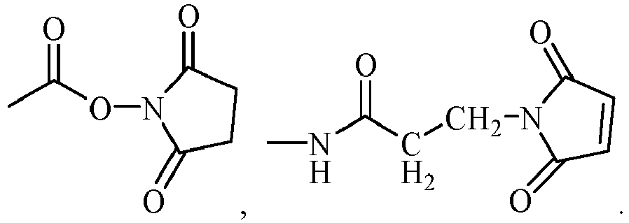 Figure imgb0006