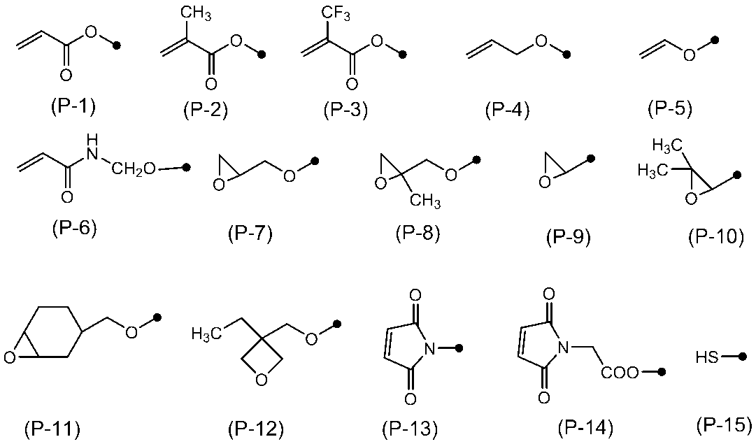 Figure JPOXMLDOC01-appb-C000014