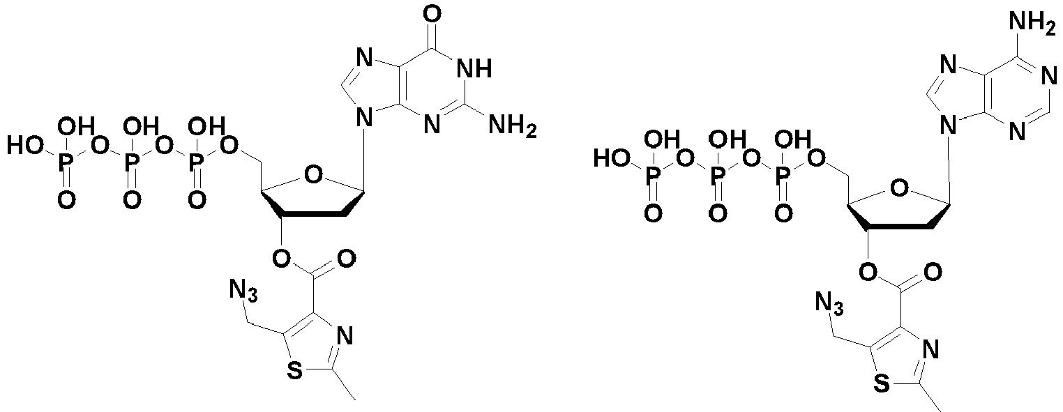 Figure imgb0596