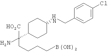 Figure 00000206