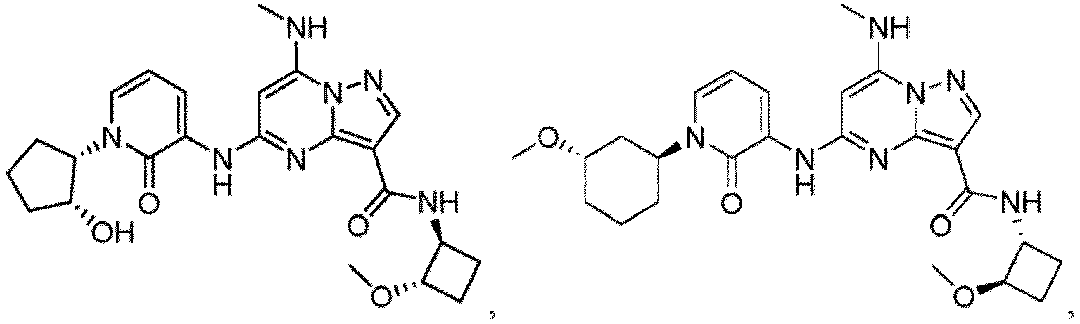 Figure imgb2004