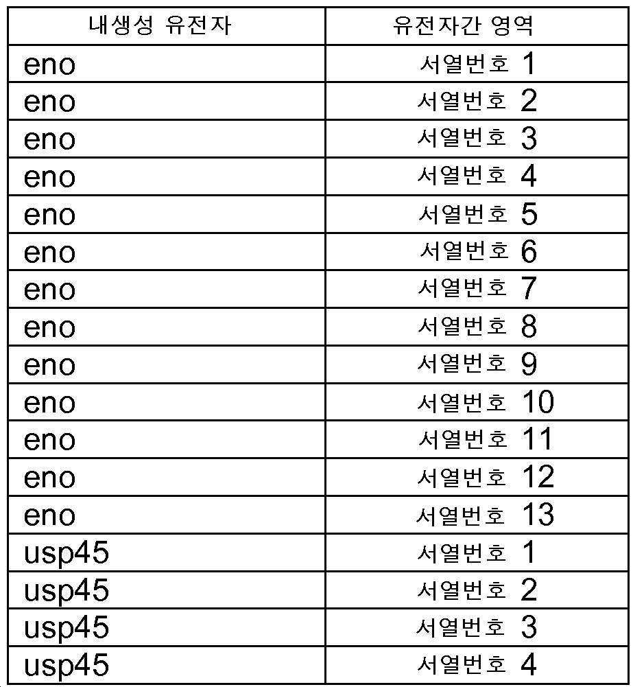 KR20140027405A - 박테리아용 폴리시스트론 발현 시스템 - Google Patents