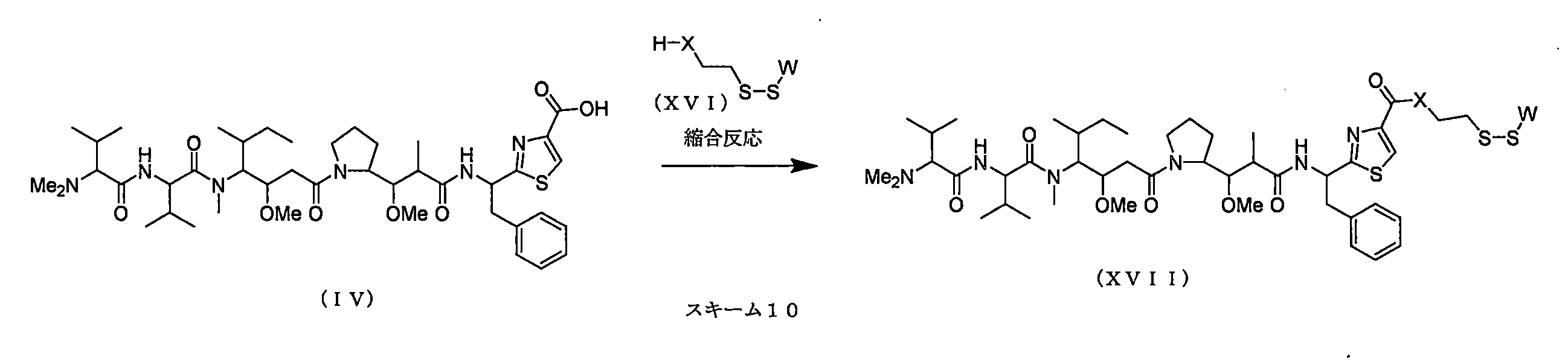 Figure JPOXMLDOC01-appb-C000017