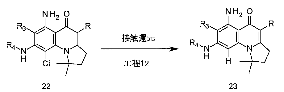 Figure JPOXMLDOC01-appb-C000013
