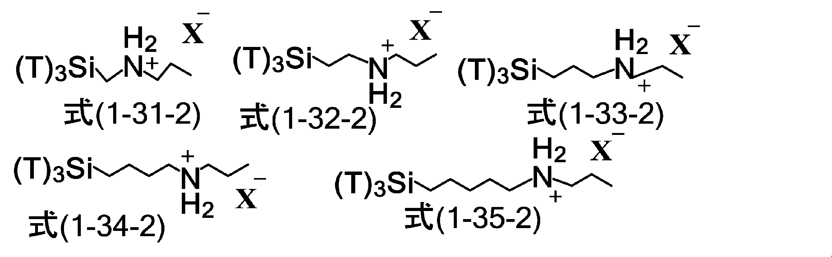 Figure JPOXMLDOC01-appb-C000049