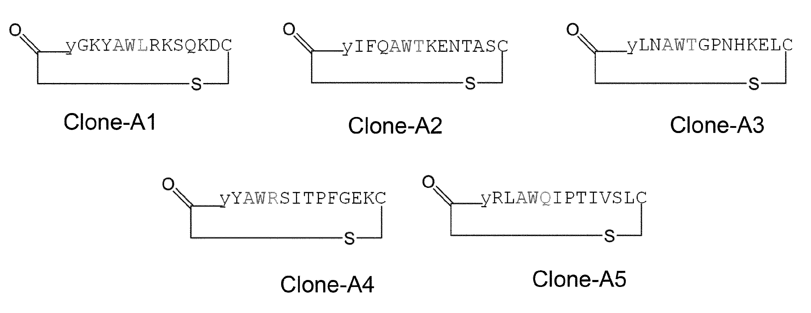 Figure JPOXMLDOC01-appb-C000047