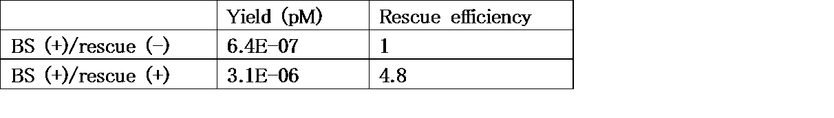 Figure JPOXMLDOC01-appb-T000004