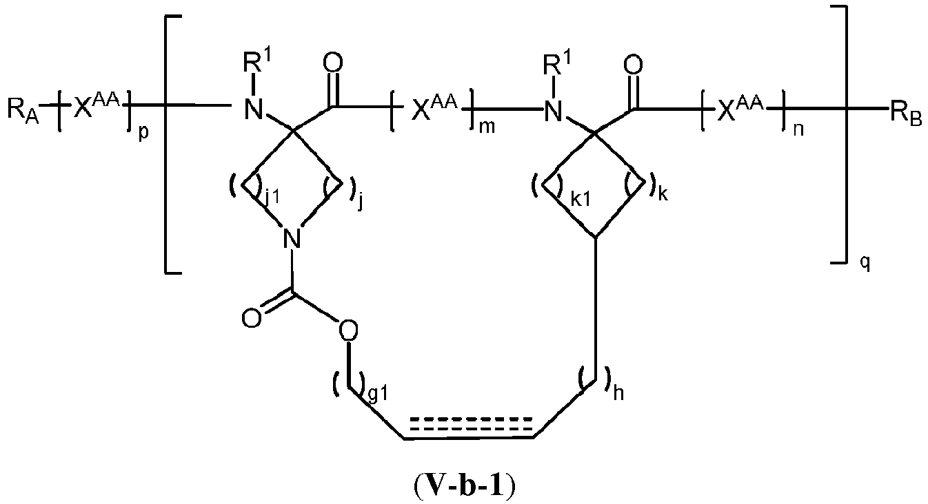 Figure imgb0146
