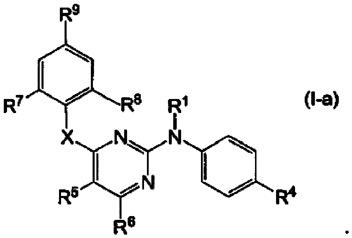 Figure imgb0080