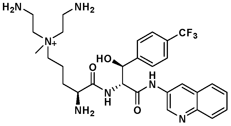 Figure imgf000053_0003