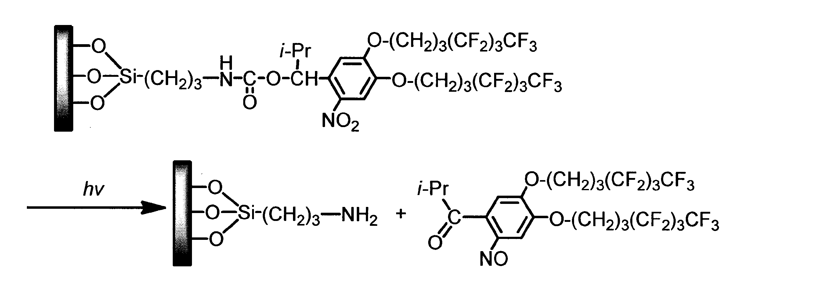 Figure JPOXMLDOC01-appb-C000029