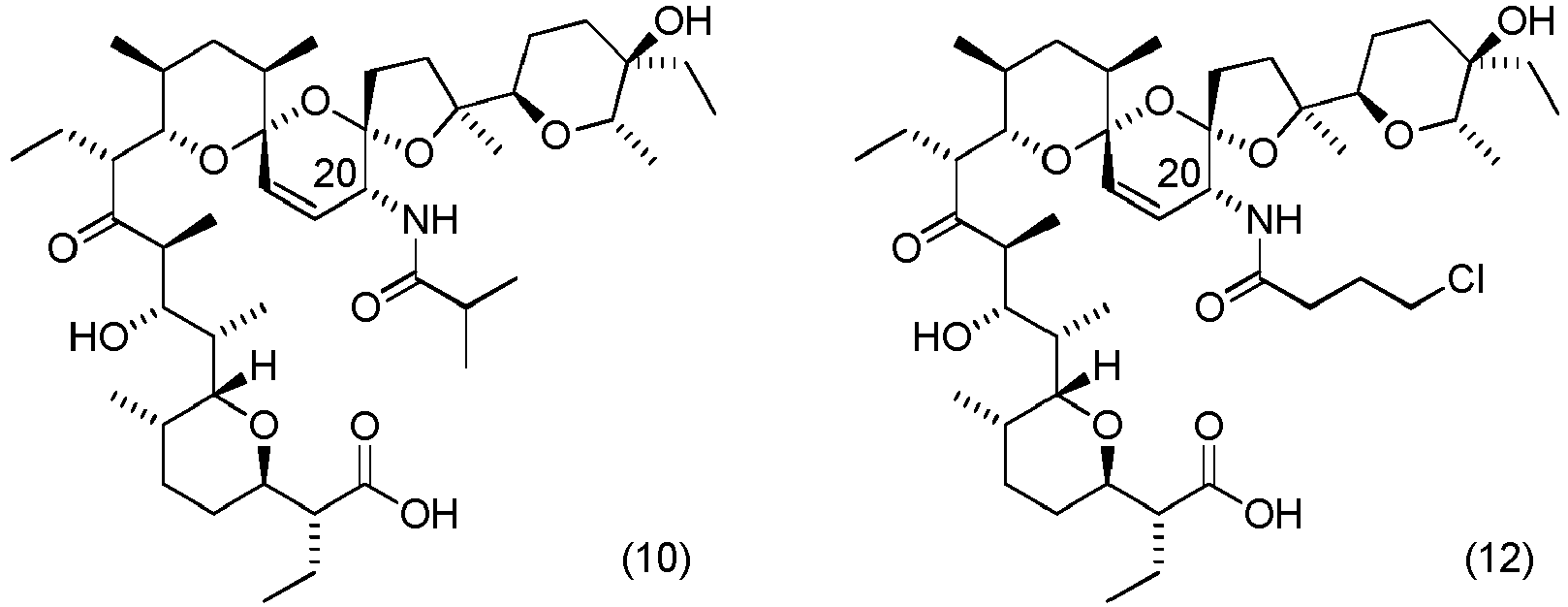 Figure imgb0141