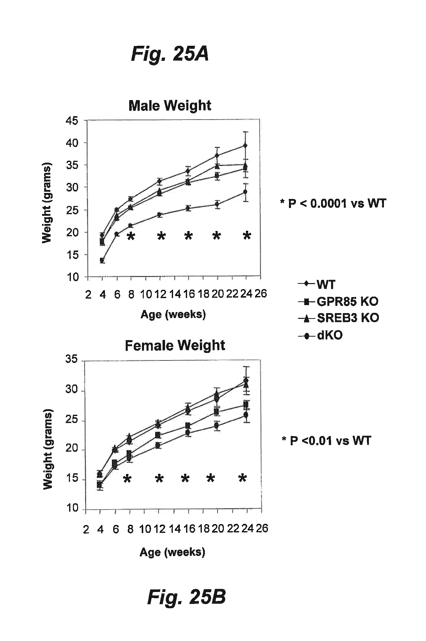 US8999654B2 - Method of identifying a compound for the treatment or prevention of obesity - Google Patents