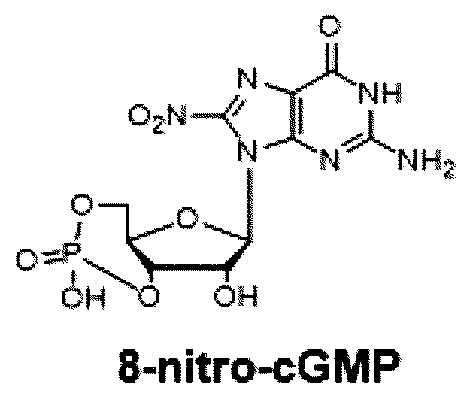 Figure JPOXMLDOC01-appb-C000024
