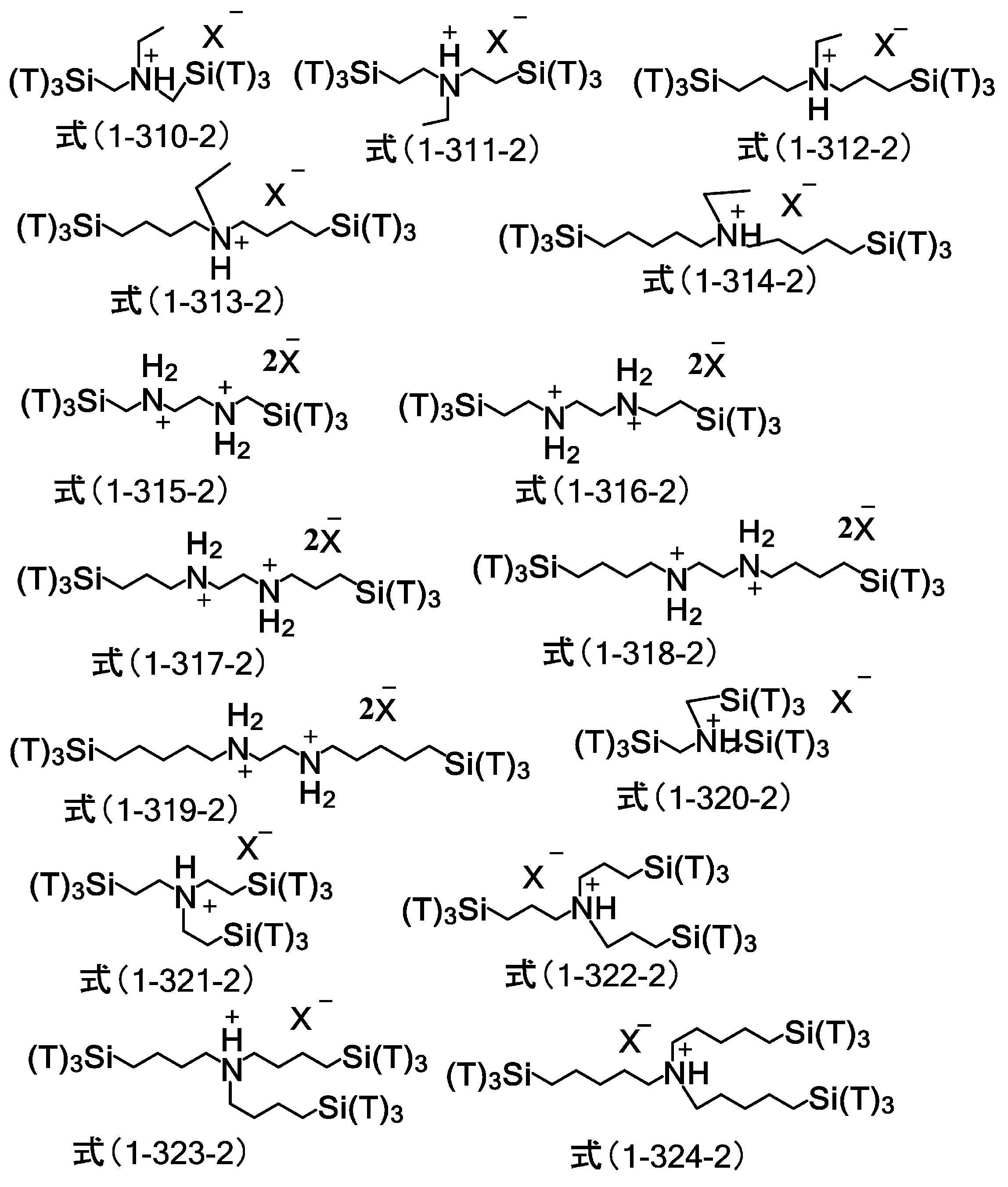 Figure JPOXMLDOC01-appb-C000078