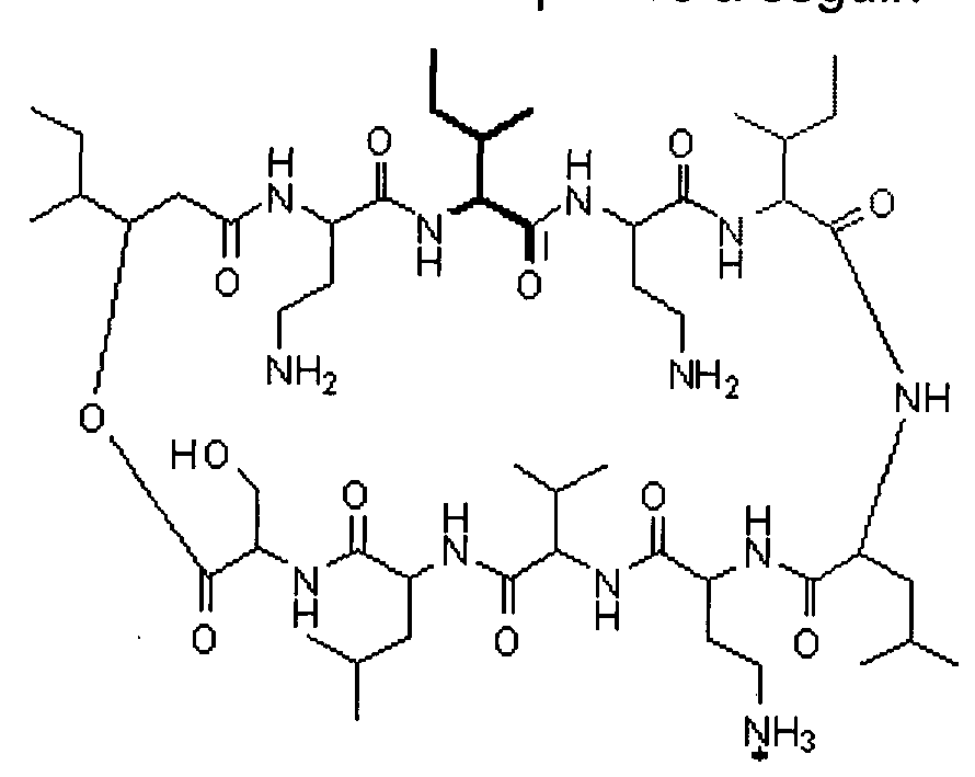 Figure imgf000011_0002
