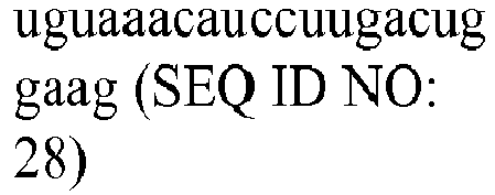 Figure imgb0029
