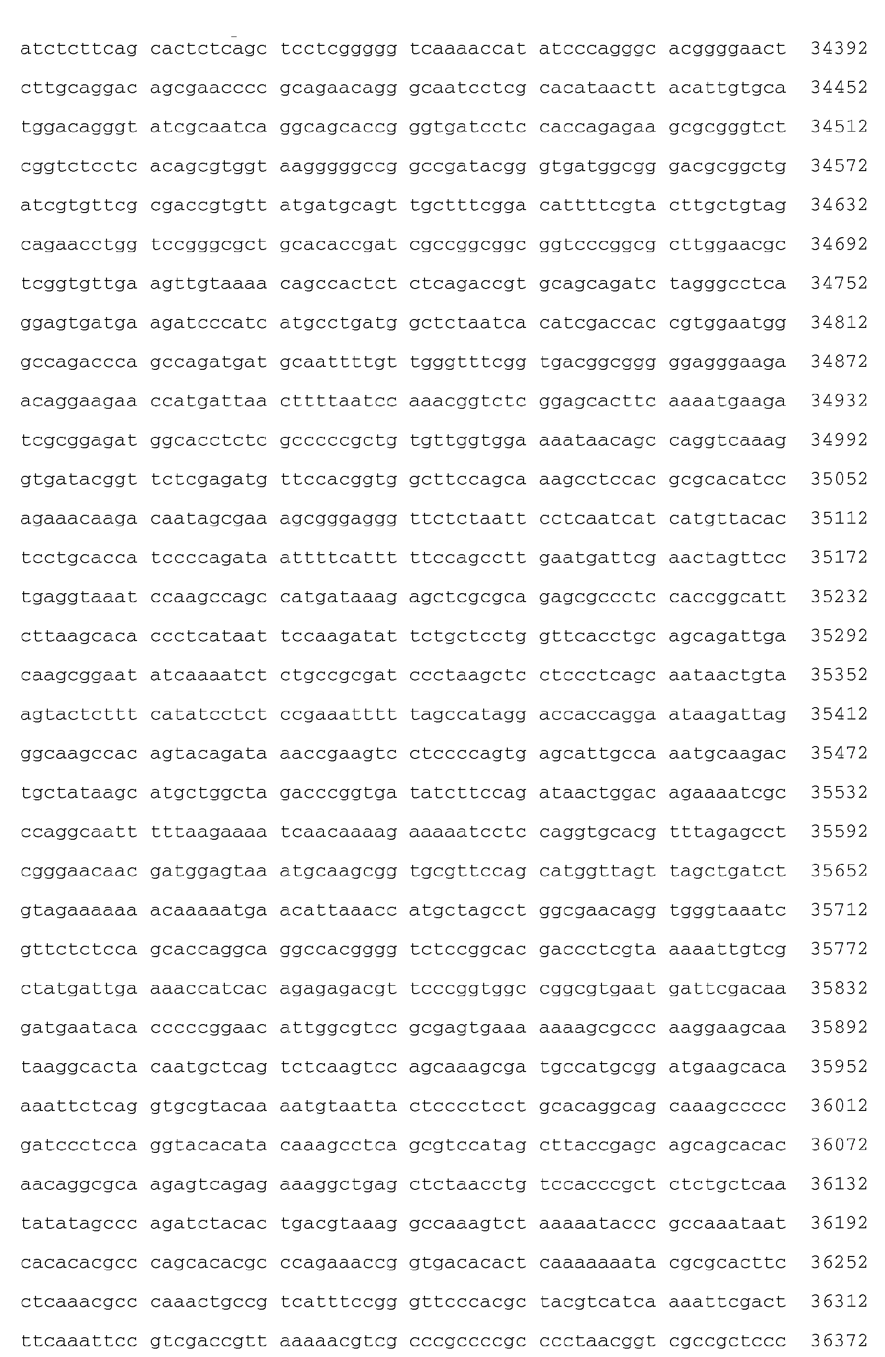 Figure imgb0024