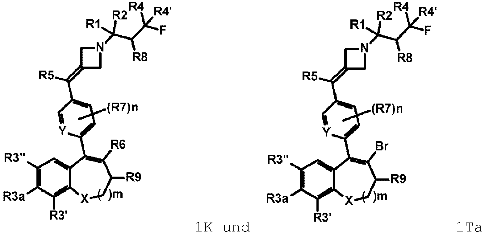 Figure imgb0480