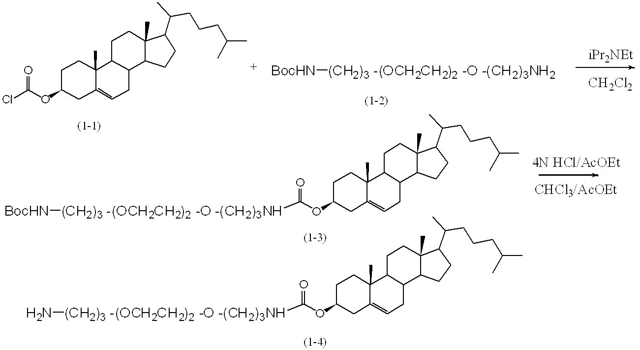 Figure JPOXMLDOC01-appb-C000022