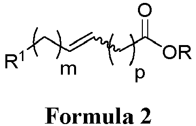 Figure imgb0006