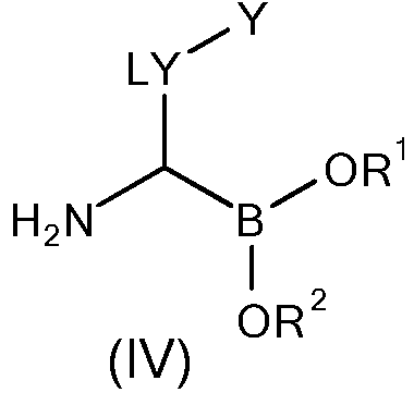 Figure imgf000083_0002