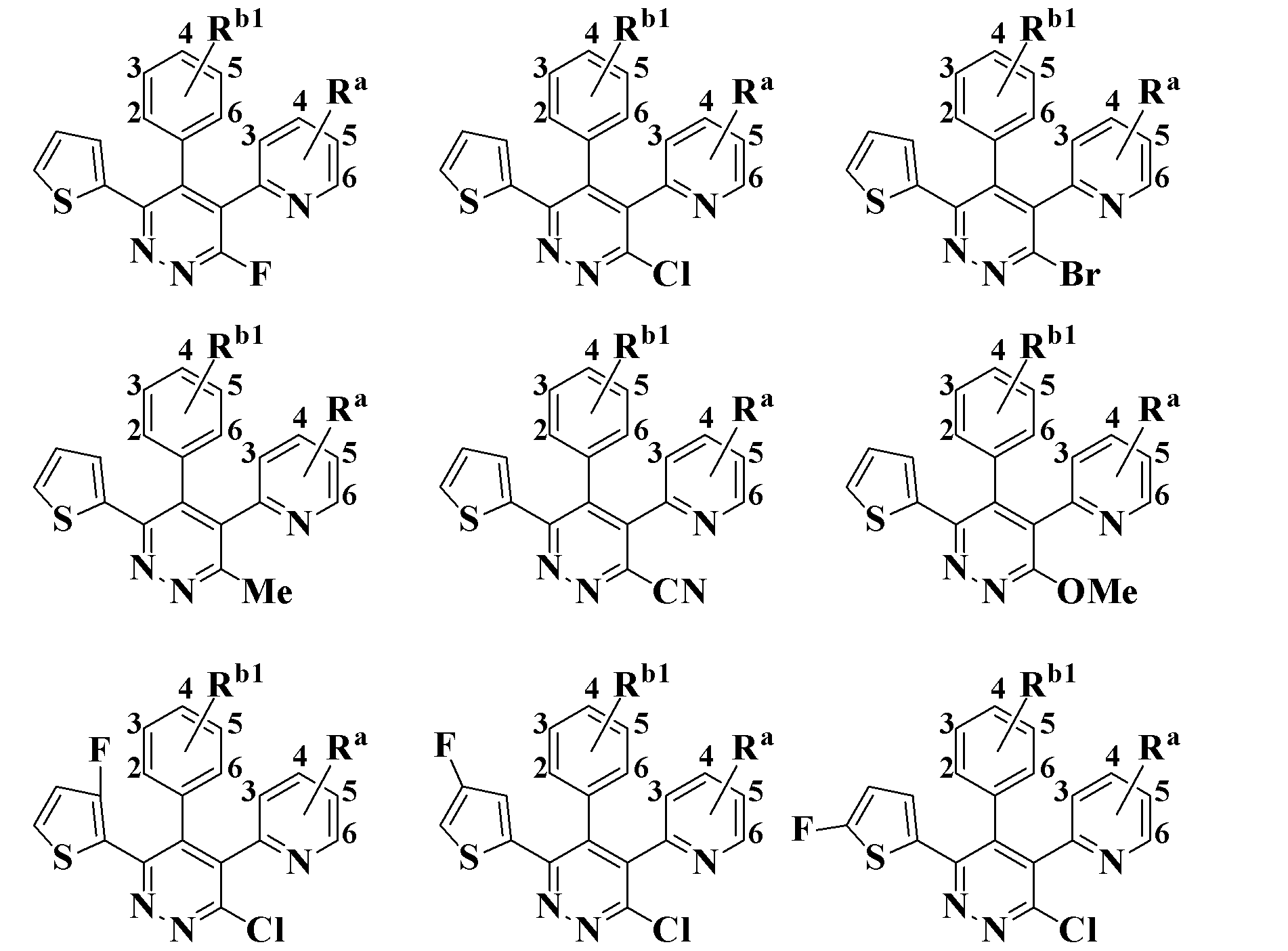 Figure JPOXMLDOC01-appb-C000253