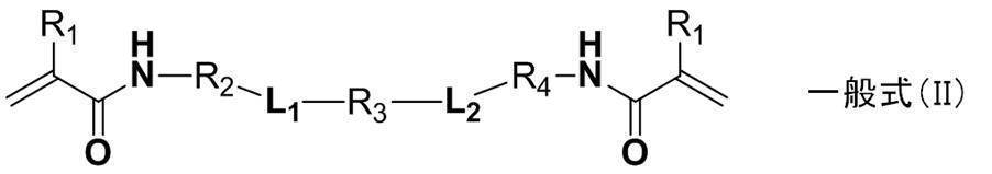 Figure JPOXMLDOC01-appb-C000009