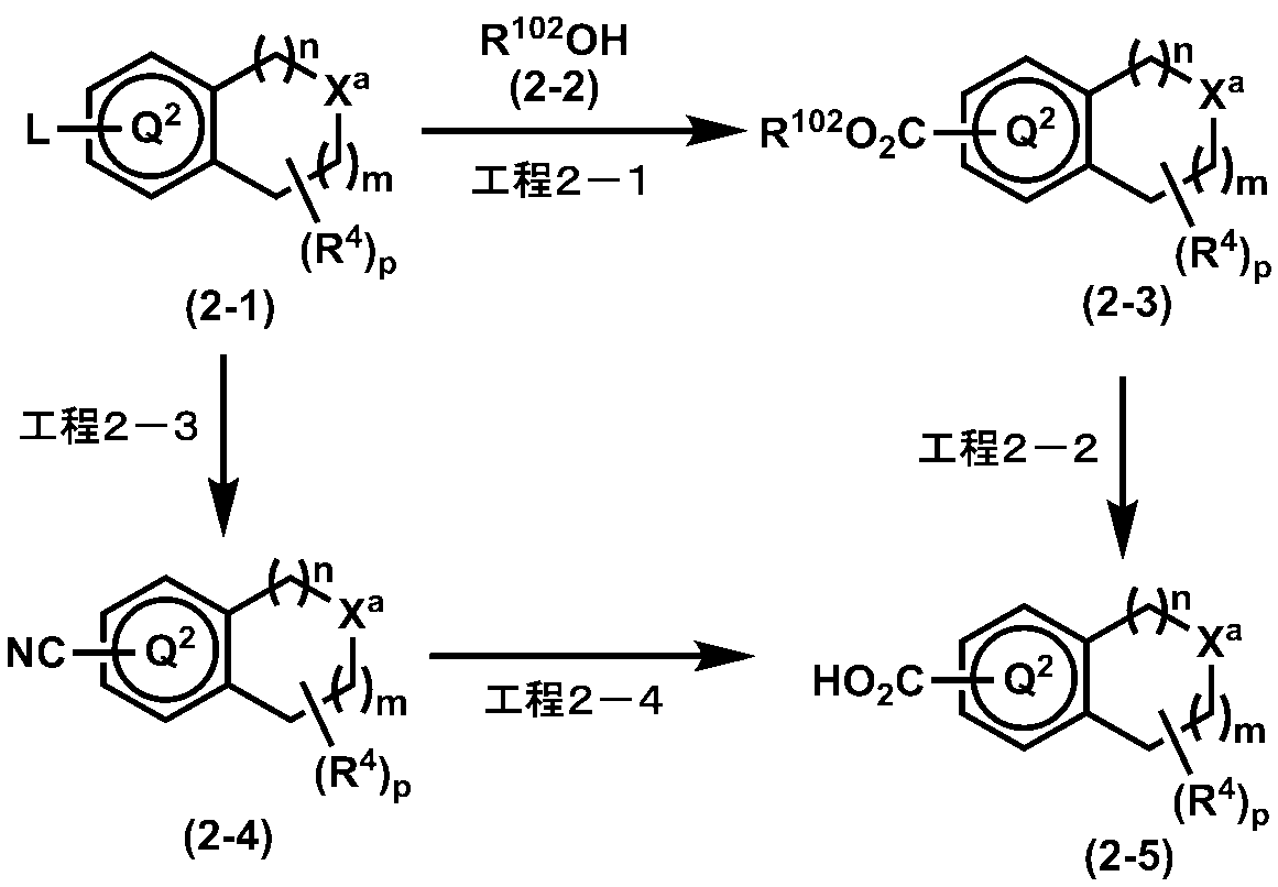 Figure JPOXMLDOC01-appb-C000025