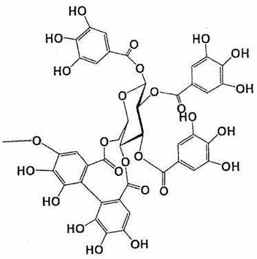 Figure JPOXMLDOC01-appb-C000003