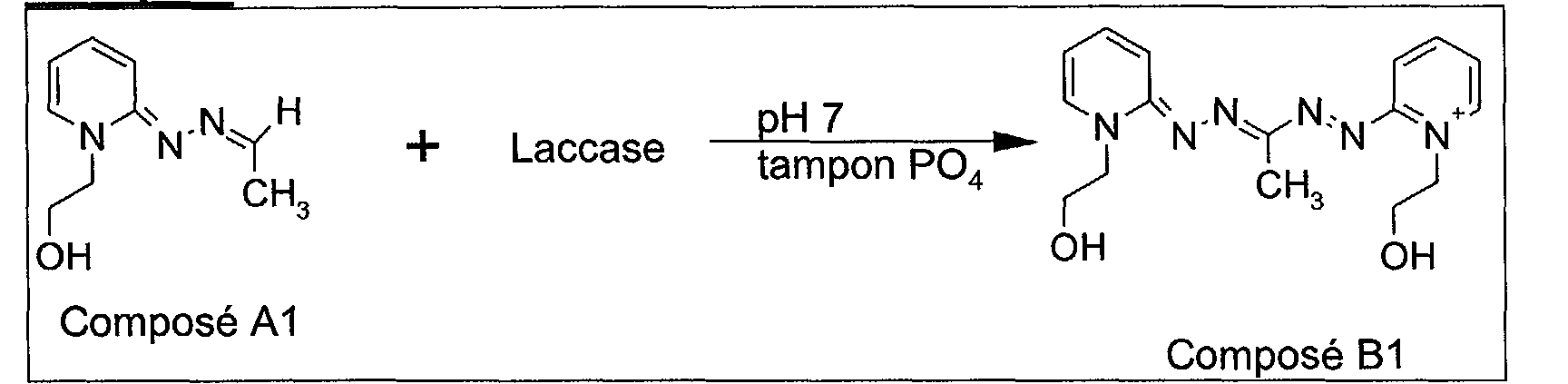 Figure 00300002