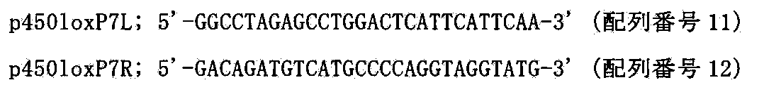 Figure JPOXMLDOC01-appb-I000026