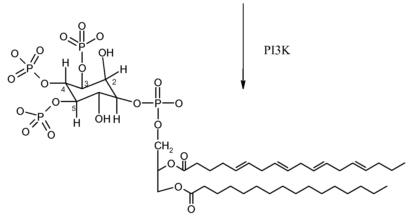 Figure imgf000004_0002