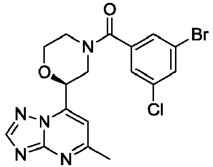 Figure imgb0305