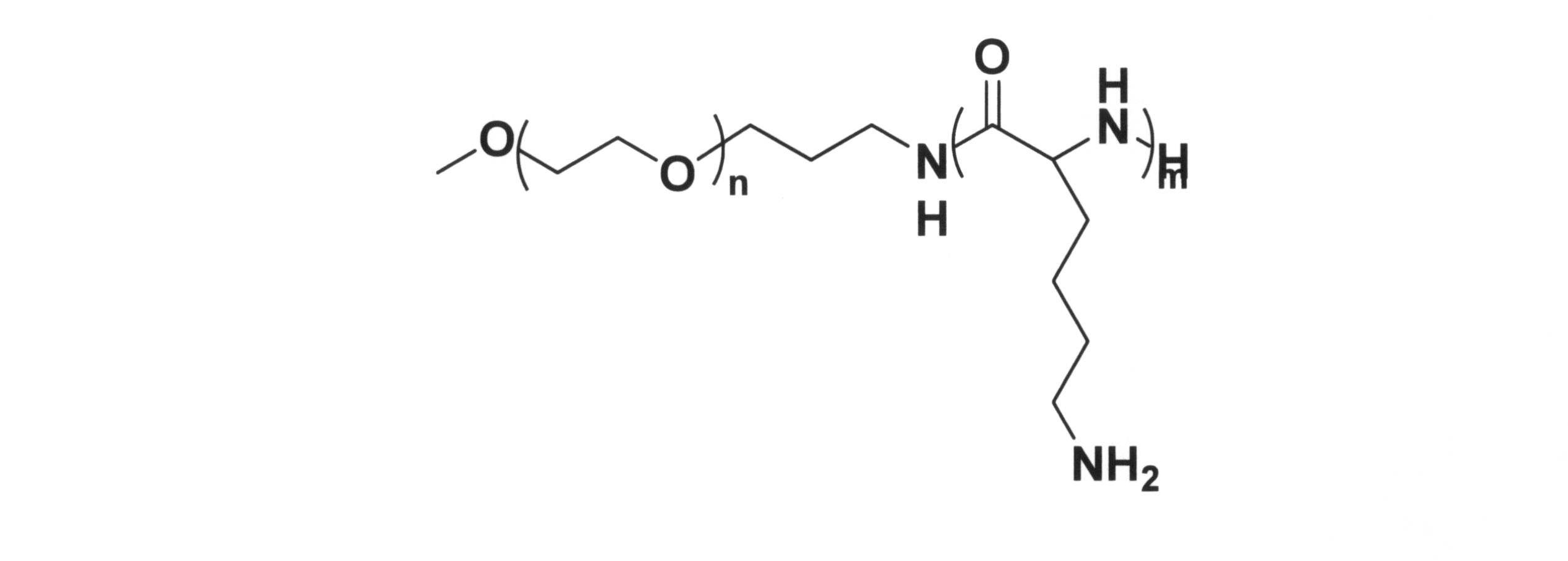 Figure JPOXMLDOC01-appb-C000033