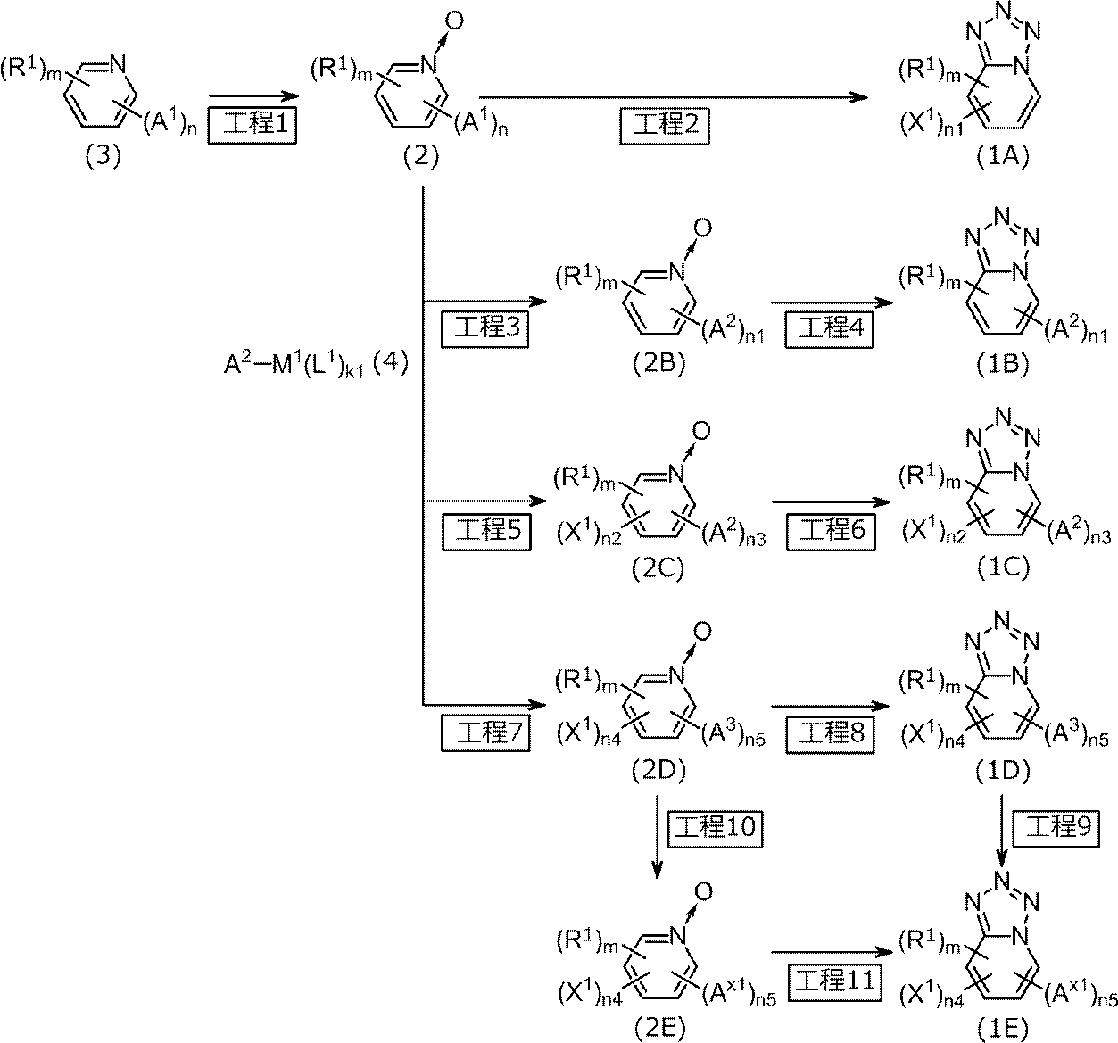 Figure JPOXMLDOC01-appb-C000029