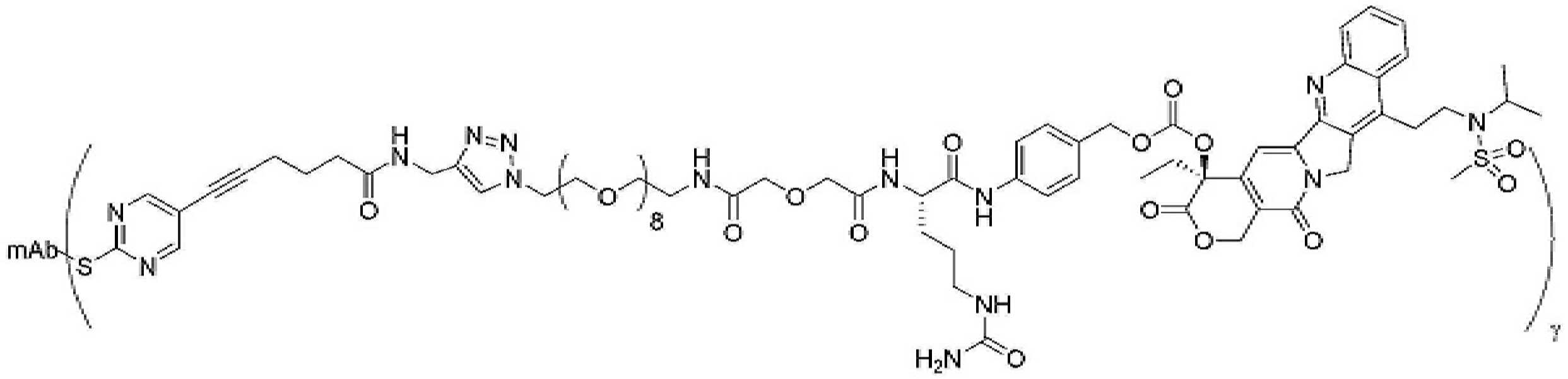 Figure pct00459
