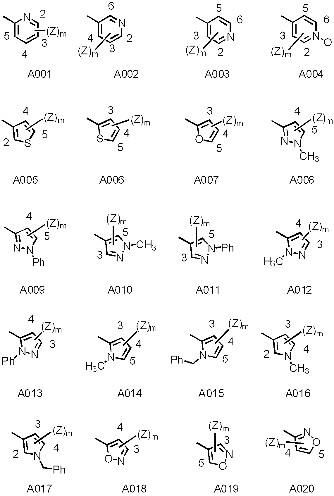 Figure JPOXMLDOC01-appb-C000024