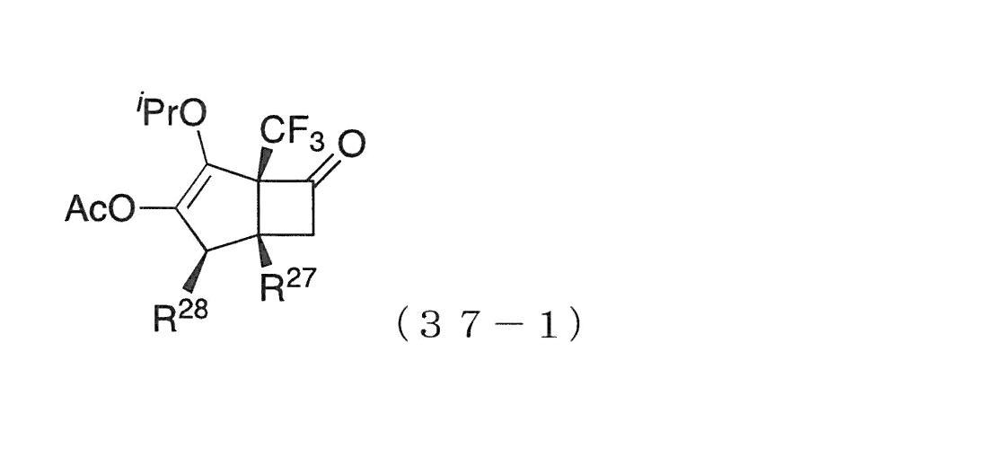 Figure JPOXMLDOC01-appb-C000013