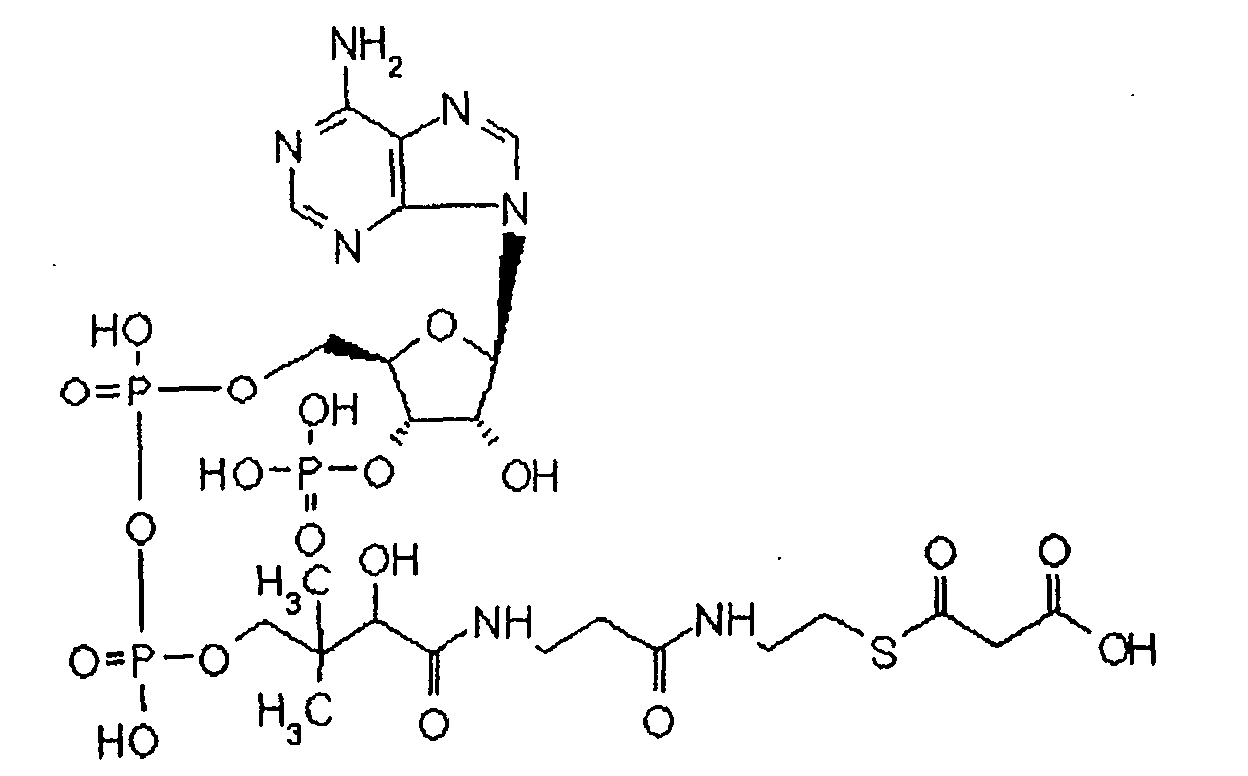 Figure 00400002