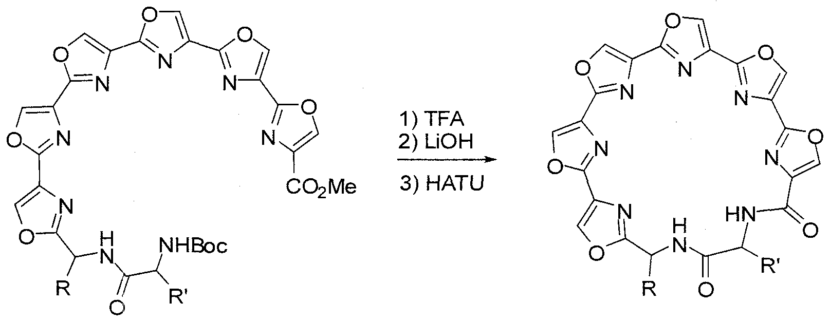 Figure imgf000025_0002