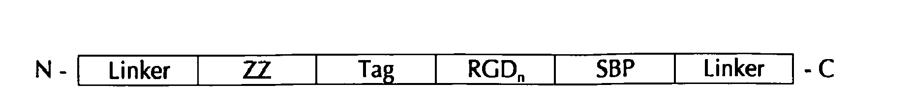 Figure imgb0010